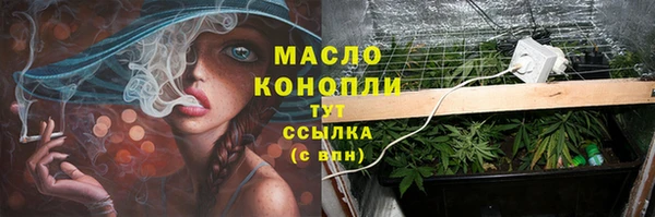 хмурый Медногорск