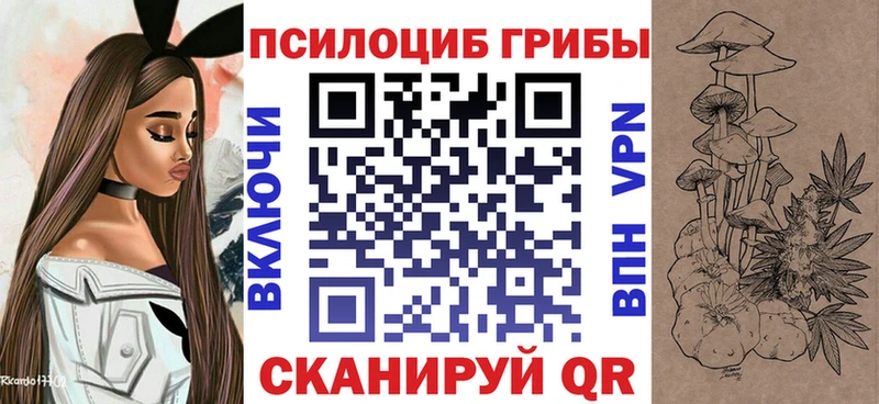 Галлюциногенные грибы Magic Shrooms  где найти   Моршанск 